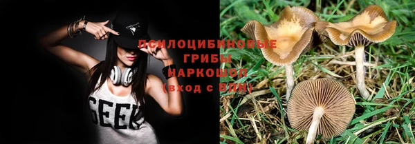 винт Горняк