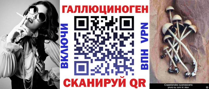 что такое   kraken ССЫЛКА  Псилоцибиновые грибы мухоморы  Чегем 